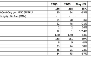Tự doanh thua lỗ, VDSC lãi quý 3 giảm mạnh 67% so với cùng kỳ 2021 - Ảnh 1.