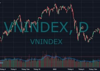 VN-Index lần đầu tiên nhúng xuống mức 3 chữ số sau gần 21 tháng - Ảnh 1.