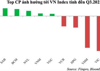 VCBS: VN-Index sẽ khó rơi xuống dưới vùng 1.000 điểm trong quý 4 - Ảnh 1.