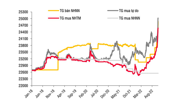 VND mất giá 8,6% từ đầu năm, doanh nghiệp nào hưởng lợi nhất? - Ảnh 1.