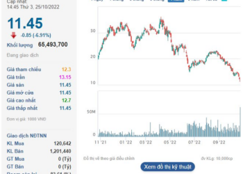 VNDirect khớp lệnh kỷ lục trong phiên giảm sàn thứ 3 liên tiếp, hơn 5% khối lượng lưu hành được sang tay - Ảnh 1.
