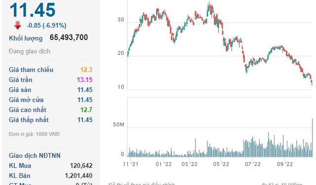 VNDirect khớp lệnh kỷ lục trong phiên giảm sàn thứ 3 liên tiếp, hơn 5% khối lượng lưu hành được sang tay - Ảnh 1.