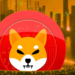 Shiba Inu, Dogecoin hay AVAX sẽ mang tiền về cho bạn?