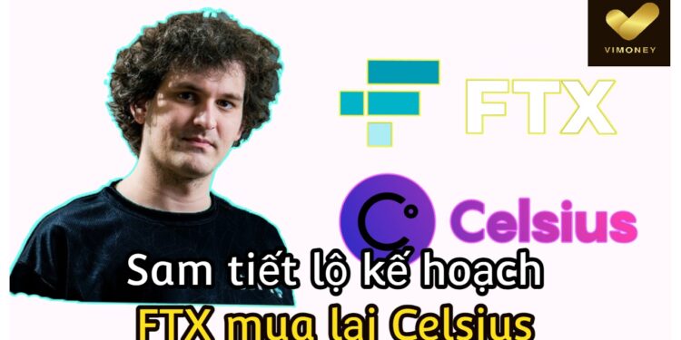 ViMoney-FTX