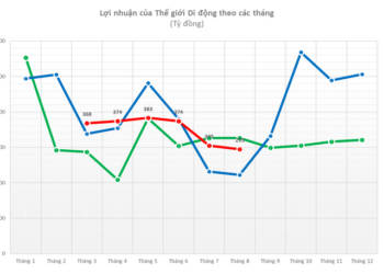 ViMoney: Lợi nhuận hàng tháng của MWG
