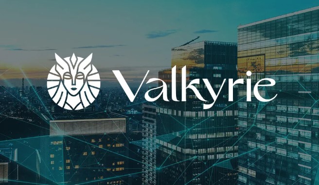 ViMoney: Valkyrie Investments tiết lộ đã mất nhà đầu tư lớn nhất của họ h2