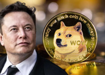 Dogecoin (DOGE) sẽ đi đến đâu cùng Elon Musk?