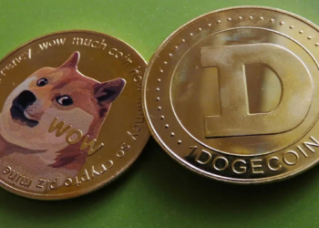 Tại sao không nên mua DOGE (Dogecoin) ở thời điểm hiện tại?