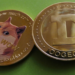 Tại sao không nên mua DOGE (Dogecoin) ở thời điểm hiện tại?