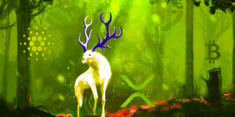 Đối thủ của Ethereum phát đi tín hiệu tăng giá