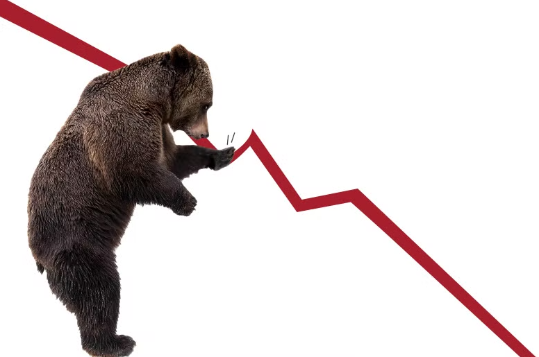 Thị trường gấu không dành cho những người đầu tư mới