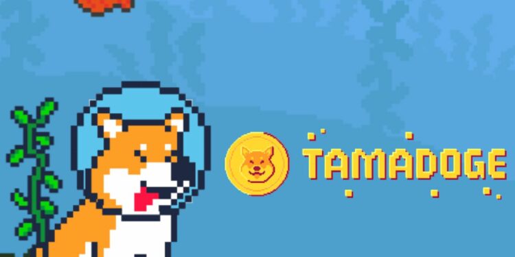 Giải mã sức hút của Tamadoge