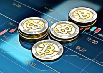 Altcoin thu hút dòng tiền hơn Bitcoin và ETH vào năm 2024