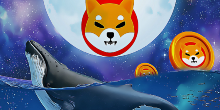 BSC khủng hoảng, cá voi nhanh tay gom 1.700 tỷ SHIB bất thường