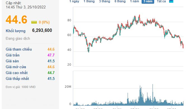 Vinhomes hé mở cụ thể việc hợp tác với công ty VMI của ông Phạm Nhật Vượng để bán BĐS cho nhà đầu tư vốn nhỏ - Ảnh 1.