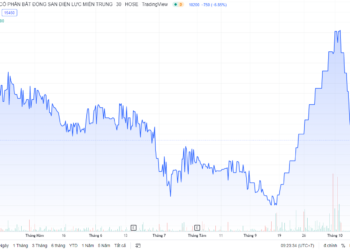 Cổ phiếu giảm sàn 5 phiên liên tiếp, LEC lên tiếng