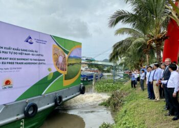 Vay 100 triệu USD, Lộc Trời làm lúa chất lượng cao