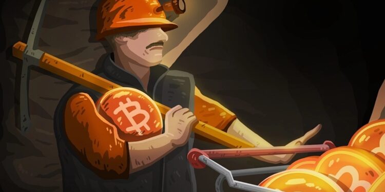 Nhiều công ty tiền điện tử lớn mấp mé bờ vực phá sản