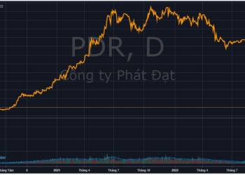 Chủ tịch Phát Đạt và Hải Phát lại bị call margin từ ngày 23/11 - Ảnh 1.