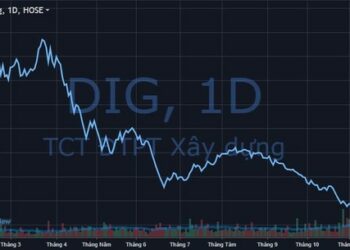 Cổ phiếu DIG giảm 87% từ đỉnh, cổ đông lớn nhất của DIC Corp vẫn tiếp tục giảm sở hữu - Ảnh 1.