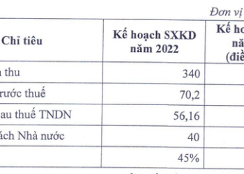 Công ty con của IDICO nâng mục tiêu lợi nhuận năm 2022 lên gấp 6 lần, chia cổ tức 250%, chuẩn bị chốt danh sách cổ đông nhận 6.000/cp - Ảnh 1.