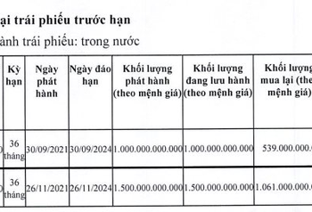 DIC Corp (DIG) hoàn tất mua lại 1.600 tỷ đồng trái phiếu trước hạn - Ảnh 1.
