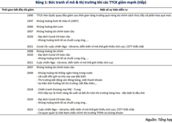 Dấu hiệu tạo đáy của VN-Index - Ảnh 1.