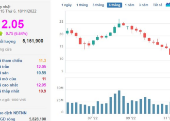Đầu tư Hạ tầng Kỹ thuật TP.HCM (CII) muốn chia cổ phiếu thưởng tỷ lệ 14% nhưng UBCK không chấp thuận - Ảnh 1.