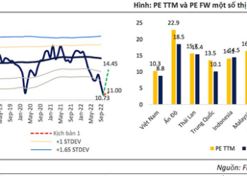 BSC: Định giá thị trường rất hấp dẫn, xuất hiện cơ hội lớn tại nhóm cổ phiếu vốn hóa lớn - Ảnh 1.