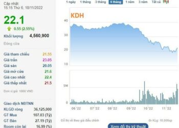 Dragon Capital gom thêm hàng triệu cổ phiếu KDH và HDG trước nhịp hồi mạnh - Ảnh 1.