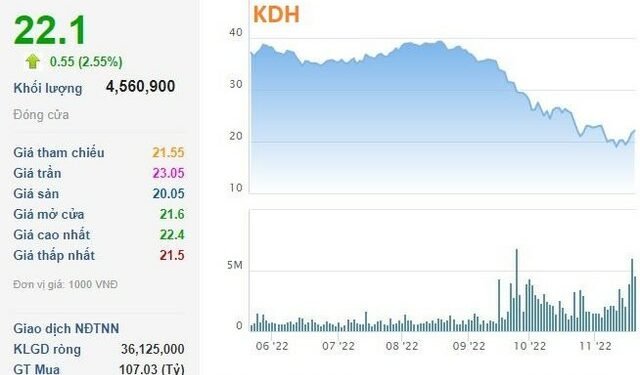 Dragon Capital gom thêm hàng triệu cổ phiếu KDH và HDG trước nhịp hồi mạnh - Ảnh 1.