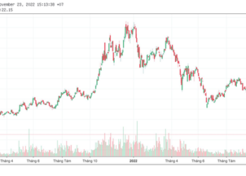 Dragon Capital tiếp tục lướt sóng, bán giảm tỷ trọng DXG và NLG - Ảnh 1.