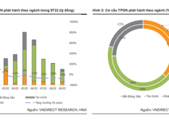 Dùng cổ phiếu làm tài sản đảm bảo nợ vay- Lối thoát nào cho chủ doanh nghiệp? - Ảnh 1.