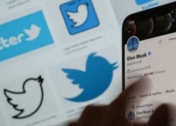 Elon Musk chính thức ra mắt tick xanh Twitter với giá 8 USD/tháng