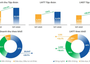 FPT lãi sau thuế 10 tháng tăng trưởng 28%, lượng đơn hàng nước ngoài tăng mạnh - Ảnh 1.