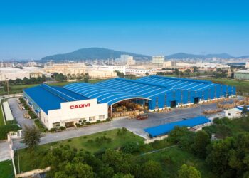 Gelex Electric đổi tên thành Công ty cổ phần Điện lực GELEX - Ảnh 1.