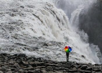 Genesis phải đối mặt với thăm dò từ nhiều cơ quan quản lý: Báo cáo