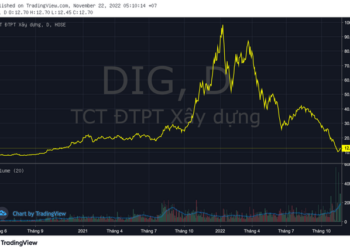 Gia đình Chủ tịch DIC Corp tiếp tục bị bán giải chấp gần 6 triệu cổ phiếu DIG - Ảnh 1.