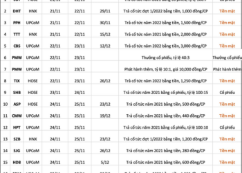 Lịch chốt quyền cổ tức, thưởng, chào bán cổ phiếu tuần 21/11 - 25/11 - Ảnh 1.