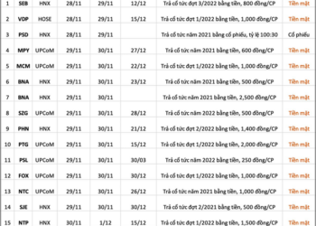Lịch chốt quyền cổ tức tuần 28/11 - 2/12 - Ảnh 1.