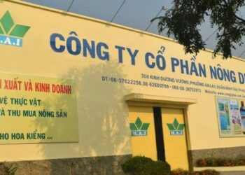 Loạt doanh nghiệp giấu thông tin, bán chui chứng khoán bị xử lý - Ảnh 1.