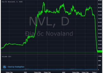MBS thông báo bán giải chấp 3 triệu cổ phiếu NVL của NovaGroup - Ảnh 1.