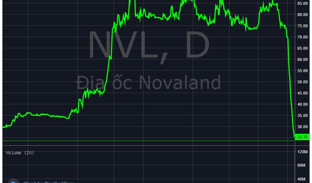 MBS thông báo bán giải chấp 3 triệu cổ phiếu NVL của NovaGroup - Ảnh 1.