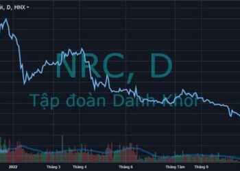 NRC liên tiếp giảm sàn, Chủ tịch Tập đoàn Danh Khôi bị “call margin” thêm 5,9 triệu cổ phiếu - Ảnh 1.