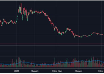 Những “siêu cổ phiếu” một thời vừa qua thị giá đều đã “bốc hơi” hơn 90% - Ảnh 1.