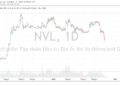 Novaland (NVL) lên tiếng về việc cổ phiếu giảm sàn 10 phiên liên tiếp - Ảnh 1.