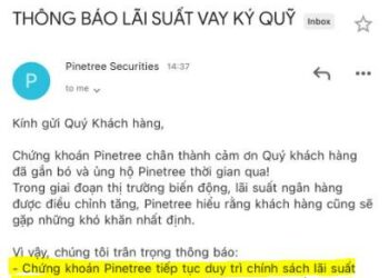 Pinetree thông báo khách hàng về chính sách margin 9% - Ảnh 1.