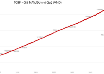 Quy mô tài sản giảm hàng nghìn tỷ đồng, quỹ đầu tư trái phiếu Techcombank (TCBF) đang nắm những gì? - Ảnh 1.
