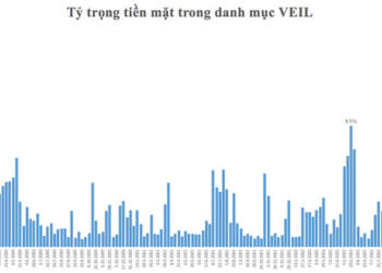 Quỹ ngoại lớn nhất thị trường “ôm” gần 5.000 tỷ đồng tiền mặt ngay trước nhịp thị trường hồi mạnh - Ảnh 1.