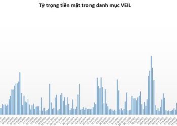 Quỹ tỷ USD do Dragon Capital quản lý đẩy mạnh giải ngân khi thị trường tạo đáy, lượng tiền mặt nắm giữ giảm 2.300 tỷ đồng sau 1 tuần - Ảnh 1.